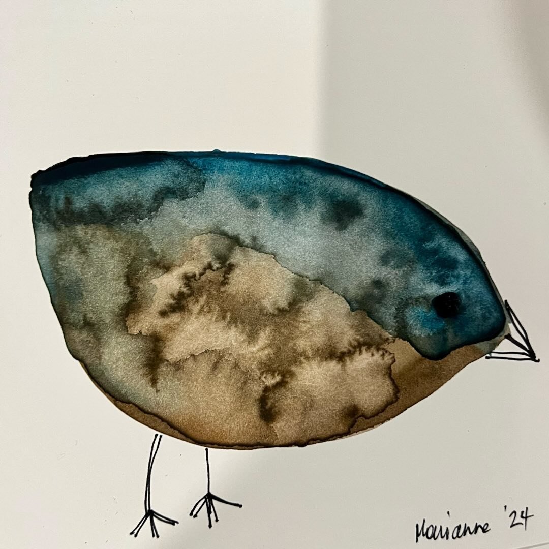 kookaburrastreetdesign