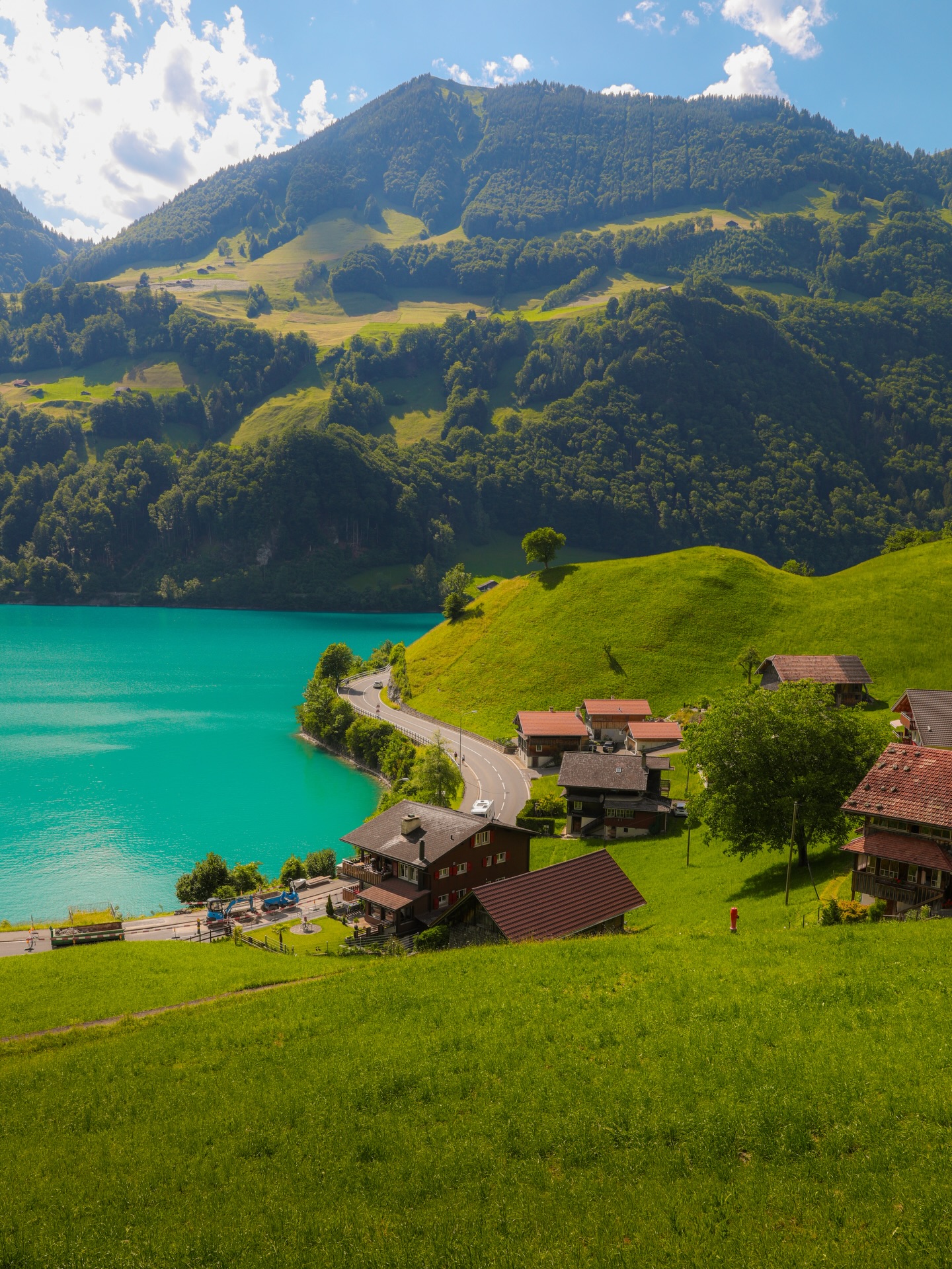 wonderful_swiss